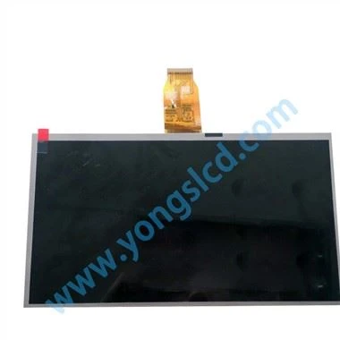 TM101DDHG06 LCD -skjerm 10,1 tommer industriell